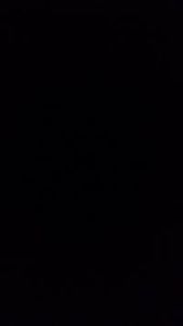 مثنى الحارث