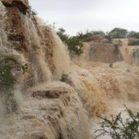 صالح الهميمي