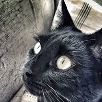 Sam