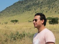 Mohammad AbdelAzim Hammad