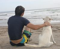 Дмитрий Безруков