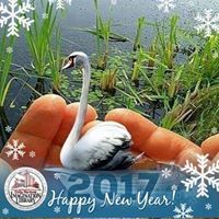 Зорница. Христова.