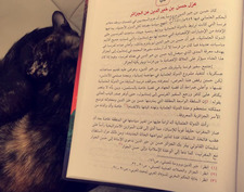 نوره آل ثاني