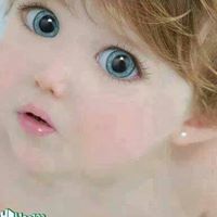 Noha Fayez
