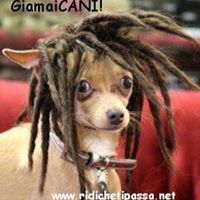Giuse Pucci