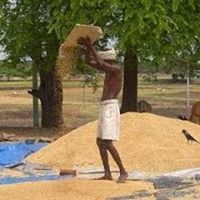 பதஞ்சலி வாதவூரர்