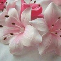 أسماء عبدالله