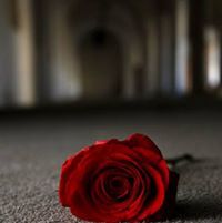 ملاك الحسني