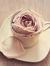 Fatma a...