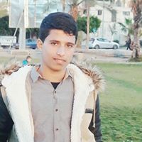 محمد النجار