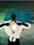Dishani...