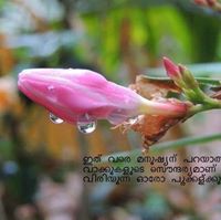 Dwidhy Krithi