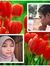 Dyah Re...