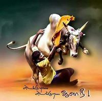 அழகு ராஜ்