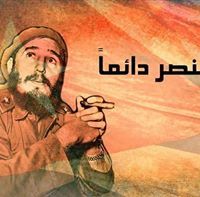 Mohammed Abo Elfotouh