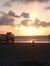 Dawn Fe...