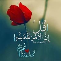 عيشها ما هى