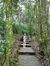 Huong N...