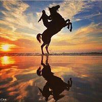 إرادة درويش