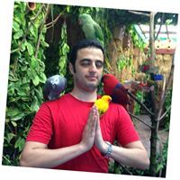 Ahmed Adel