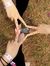 Nhi Yunnie
