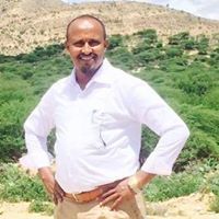 Ahmed A.