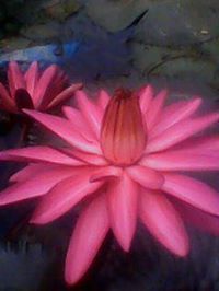 Mahadev Bhosale