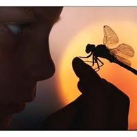 محمد المعشاوي