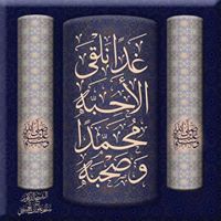 أبوالوفا يحيي