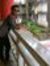 Rakesh ...