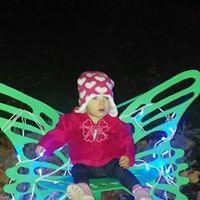 Lori A Foster