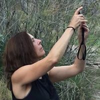 Consi Handelsman Bennett