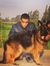 Ahmed H...