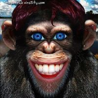 अंकित सिंह