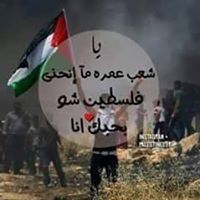 اسيل سويدان