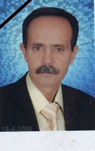 Mahmoud Elnemr