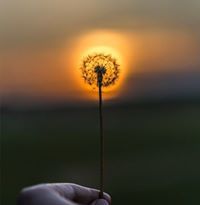 Светлана Рожко