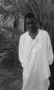 بكري بشير قيلي