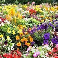 Vijayashree Ingalahalli