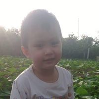 Dương Vũ