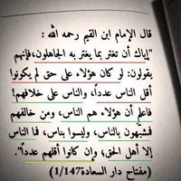 محمد بن عمر