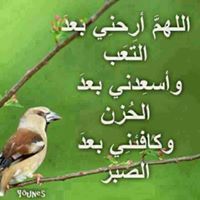 zainab sh eid ibrahim