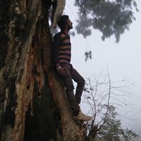 Don Joseph