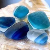 Shalaka Pendse-Joshi