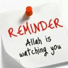 Diah Halimatussakdiah