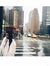 Quynh N...