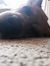 Lacey F...