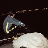 Mohamad Khattab