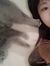 Songwei...