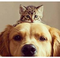 พรทิวา สุมะหิงพันธ์